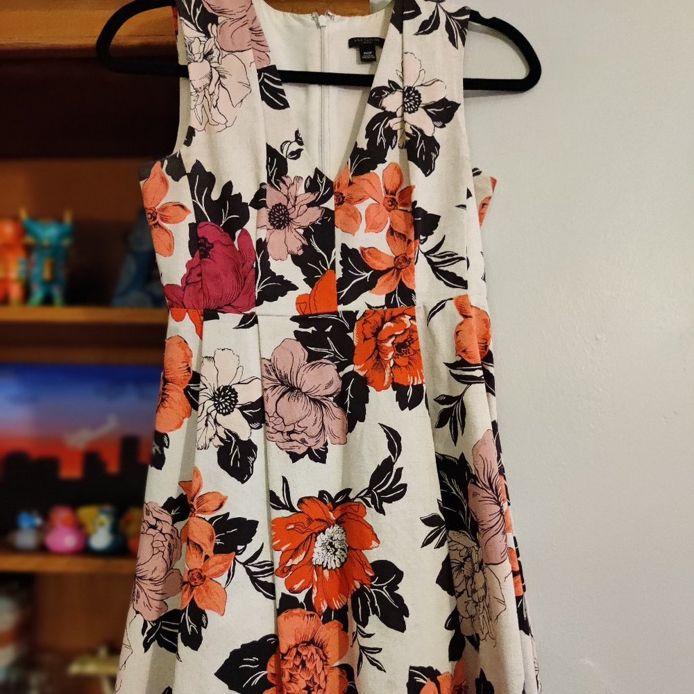 Ann Taylor Floral Work Dress